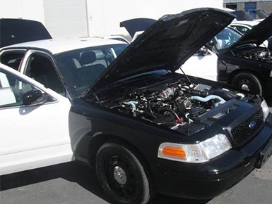 Wild Rose Motors Policeinterceptors Info Used Car